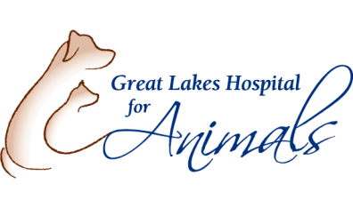 Great Lakes Hospital for Animals-HeaderLogo